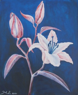 Acrylbild Callas vor blauem Hintergrund